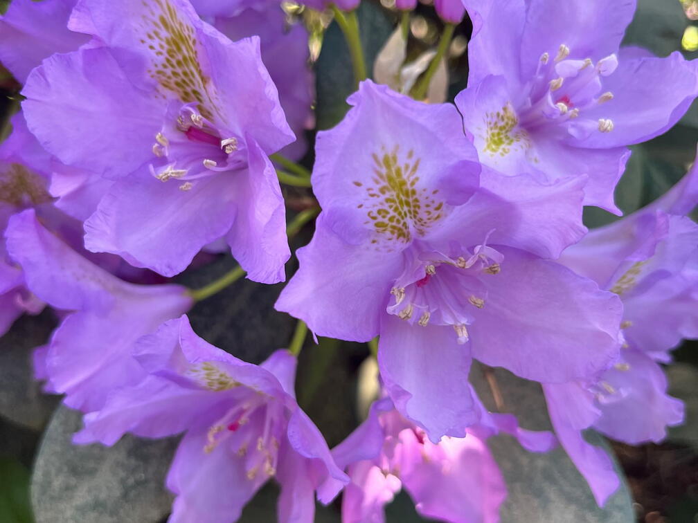 23-06-03 17-09-48 5817